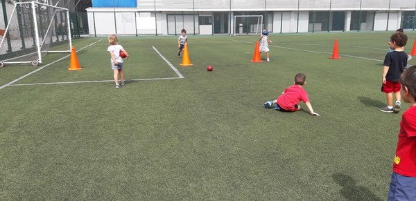 Free Website Template by Free-Template.co