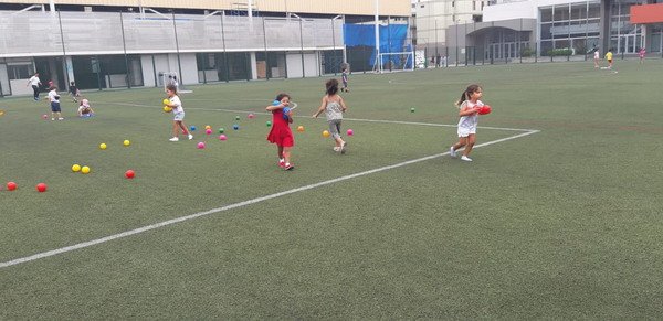 Free Website Template by Free-Template.co