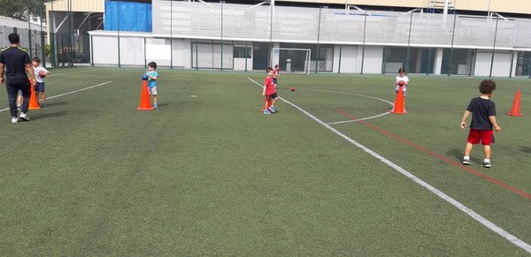 Free Website Template by Free-Template.co