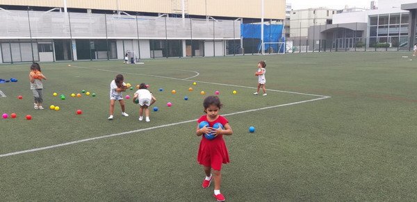 Free Website Template by Free-Template.co