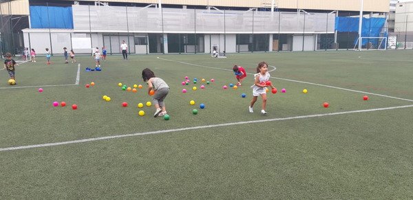 Free Website Template by Free-Template.co