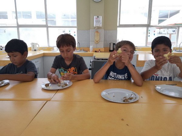 Free Website Template by Free-Template.co