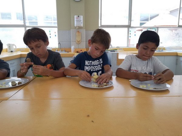 Free Website Template by Free-Template.co