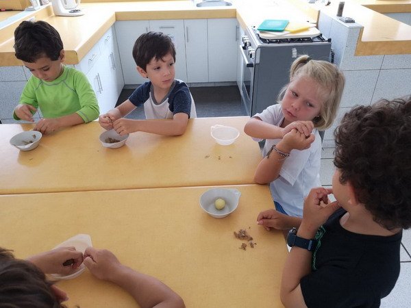 Free Website Template by Free-Template.co