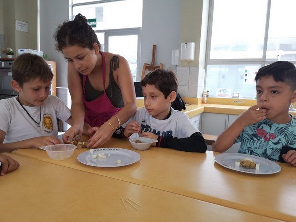 Free Website Template by Free-Template.co