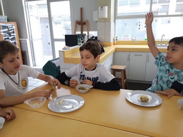 Free Website Template by Free-Template.co