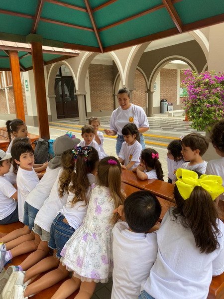 Free Website Template by Free-Template.co