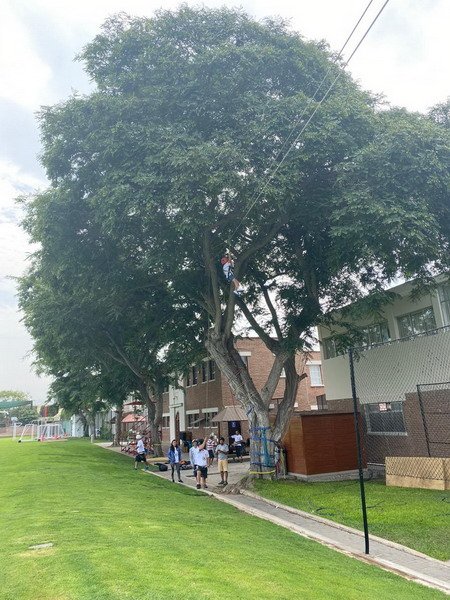 Free Website Template by Free-Template.co