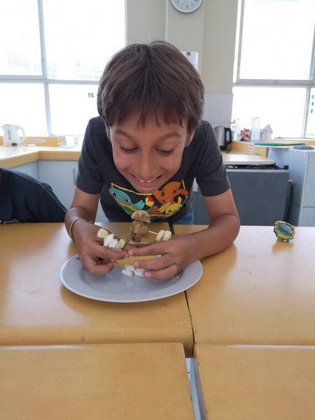 Free Website Template by Free-Template.co