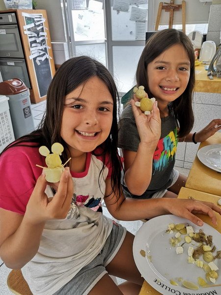 Free Website Template by Free-Template.co