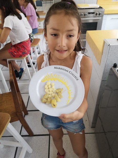 Free Website Template by Free-Template.co