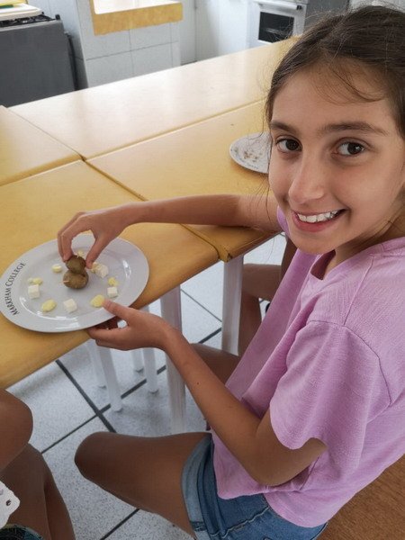 Free Website Template by Free-Template.co