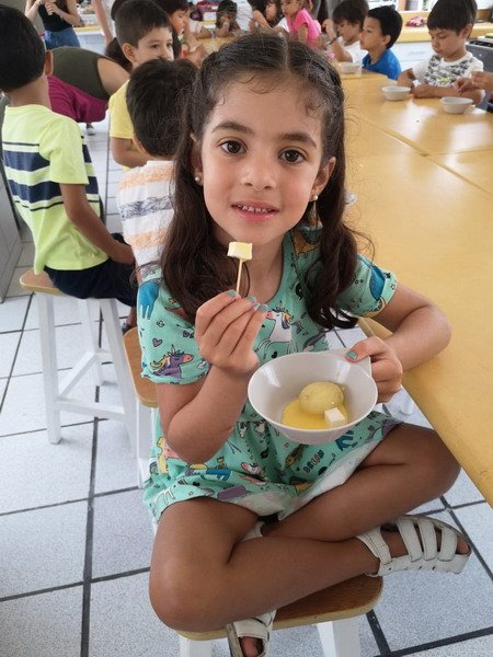 Free Website Template by Free-Template.co