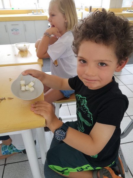 Free Website Template by Free-Template.co