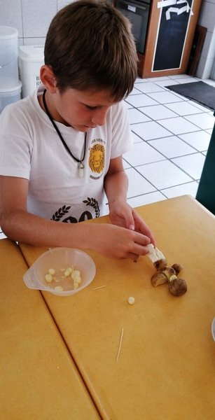 Free Website Template by Free-Template.co