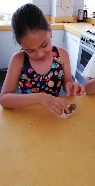 Free Website Template by Free-Template.co