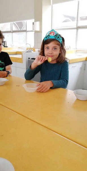 Free Website Template by Free-Template.co