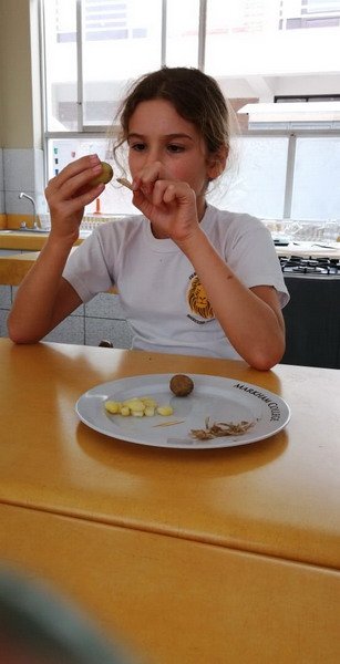 Free Website Template by Free-Template.co