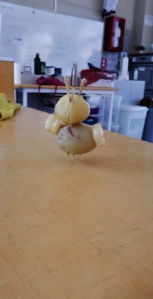 Free Website Template by Free-Template.co