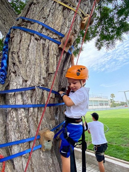 Free Website Template by Free-Template.co