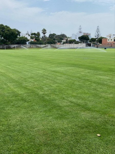 Free Website Template by Free-Template.co