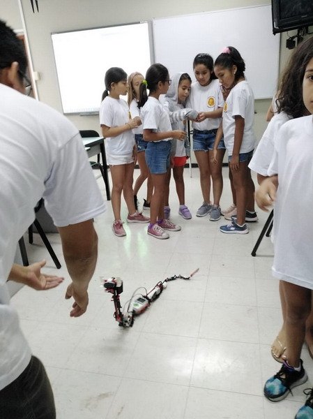 Free Website Template by Free-Template.co